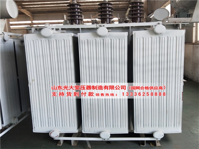 丛台S11-8000KVA油浸式变压器