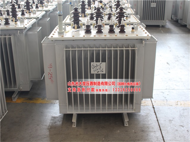 丛台S13-1250KVA油浸式变压器